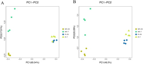 Figure 2. Bacterial (A) and fungal (B) PCoA of different samples.