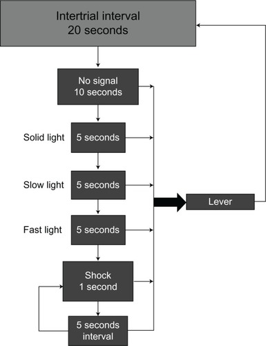 Figure 4 Signaled avoidance (SA) contingency.