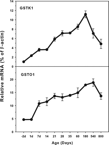 Figure 4. Age-related expression of GSTK1and GSTO1 in livers of rats. Livers from male SD rats at the fetus (−2 d before birth), the neonatal stage (1, 7, 14 and 21 d after birth), at puberty (28 and 35 d), at adult (60 and 180 d), and at aging (540 and 800 d), were collected to extract RNA. Expression of GSTK1 and GSTO1 was determined by real-time RT-PCR (n = 6 for each time point).