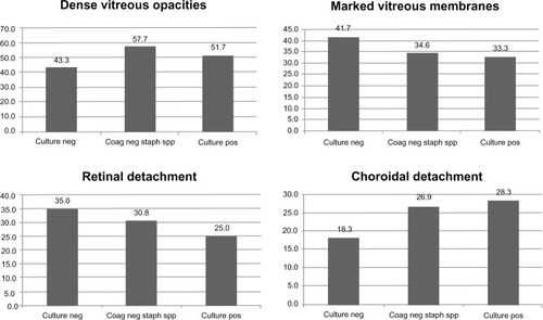 Figure 2 Advanced echographic features among culture-negative, coagulase-negative staphylococci, and other culture-positive endophthalmitis. Percentage of dense vitreous opacities (A), marked vitreous membranes (B), retinal detachment (C), and choroidal detachment (D) in culture-negative endophthalmitis cases, in coagulase-negative staphylococci, and other culture-positive endophthalmitis cases.