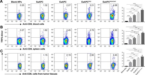 Figure 8 EaAPCPEG/CD47 markedly augmented melanoma antigen-specific CTL responses in melanoma-bearing mice. On day 28 (17 days after final infusion of aAPCs or Blank-NPs), TRP2180-188-specific CTLs were detected in peripheral blood, spleens, and tumors for each treatment group, by TRP2-dimer staining and flow cytometry. The percentages of TRP2180-188-specific CTLs in the CD8+ T-cell populations in PBMCs (A), spleen lymphocytes (B), and the cells suspensions derived from melanoma tissues (C) were presented, along with the statistical analyses of differences across groups using a two-tailed, unpaired Student’s t-test; n=5; *P<0.05, **P<0.01, ***P<0.001, and ****P<0.0001.Abbreviations: CTL, cytotoxic T lymphocyte; NP, nanoparticle; aAPC, artificial antigen-presenting cell; PBMC, peripheral blood mononuclear cell; EaAPCPEG, PEGylated nanoellipsoidal aAPC; SaAPC, nanospherical aAPCs; EaAPC, nanoellipsoidal aAPC; EaAPCPEG/CD47, PEGylated and CD47-conjugated nanoellipsoidal aAPCs.