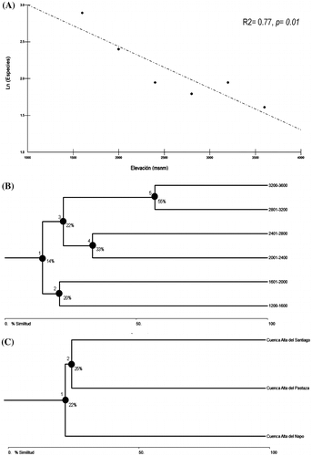 Figura 3. Beta diversidad de ranas Pristimantis de la subcuenca del Upano. (A) Regresión lineal entre la elevación y la riqueza de especies (valores de significancia se exhiben en la parte superior derecha). (B) Análisis de conglomerados (cluster) basado en el algoritmo de Jaccard para riqueza de especies en seis rangos altitudinales (los agrupamientos se muestran con círculos negros); (C) Análisis de conglomerados (cluster) basado en el algoritmo de Jaccard para riqueza de especies en tres cuencas de las estribaciones de los Andes orientales de Ecuador (los agrupamientos se muestran con círculos negros).