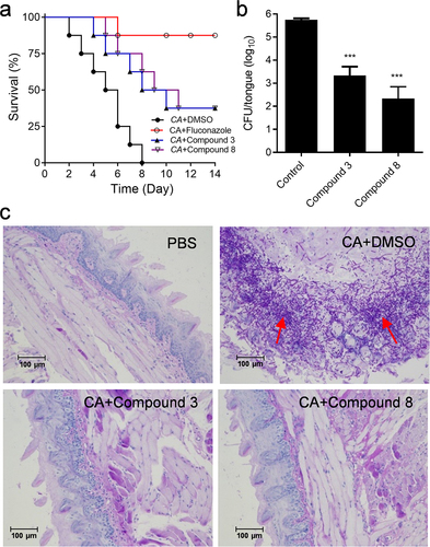 Figure 3. Efficacy of diaryl chalcogenide compound 3 (100 µM) and compound 8 (100 µM) against C. albicans SC5314 in the mouse infection model. (a) survival rate of mice after infection with C. albicans SC5314 without treatment with (●) and by treated with fluconazole (10 µg/mL, ○), compound 3 (▲) and compound 8 (▽). (b) the in vivo pathogen cell numbers of C. albicans SC5314 in the mouse tongue after infection without treatment with and by treated with compound 3 and compound 8 (100 µM). (c) pathological sections were evaluated to determine the effects of compounds 3 and 8 (100 µM) on C. albicans SC5314 infection. The red arrows showed the C. albicans SC5314 infection sites in the mouse tongues. Data are the mean ± standard deviation of three independent experiments. ***, P < 0.001 (unpaired t-test). CA: C. albicans.