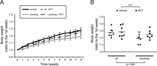 Figure 1 Changes in body weight over time and at week 12.