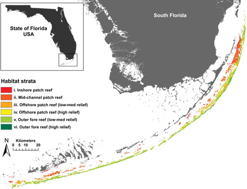 FIGURE 1. Map of the Florida Keys coral reef tract. Reef strata are described in Table 1.