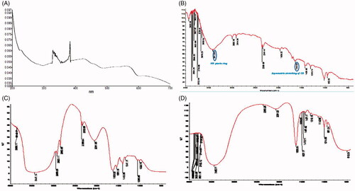 Figure 3. (A) UV spectroscopy of prepared QDs. FTIR spectroscopy of (B) NHS activated FA, (C) prepared QDs, and (D) DOX/FA-CS-QDs.