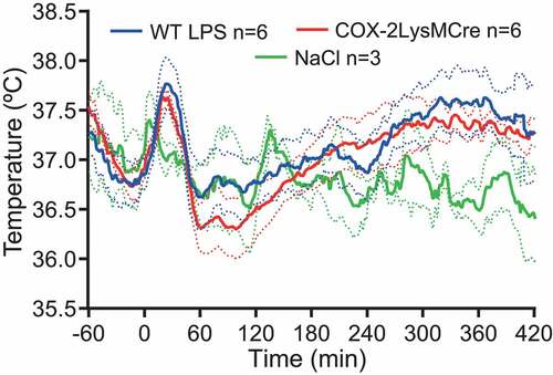 Figure 2. Fever in mice with cyclooxygenase-2 deletion in myeloid cells. WT mice and COX-2LysMCre mice show similar febrile responses to i.v. injection of 30 μg/kg LPS.