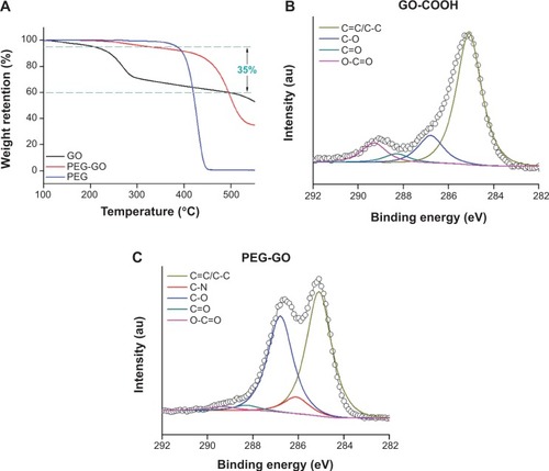 Figure 2 Successful formation of PEG-GO. (A) TGA curves of GO-COOH and PEG-GO with a heating rate of 10°C/min in N2. The C1s peaks in the XPS spectra of (B) GO-COOH and (C) PEG-GO.Abbreviations: GO-COOH, carboxyl graphene oxide; PEG-GO, polyethylene glycol-coated graphene oxide; TGA, thermogravimetric analysis; XPS, X-ray photoelectron spectroscopy.