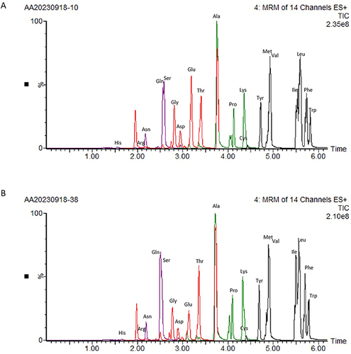 Figure 1 Representative MRM chromatography from amino acid quantification of Healthy group (A) and T2DM group (B).