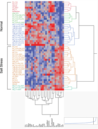 Figure 5. Agglomerative hierarchical clustering (AHC) calculates the Euclidean distance matrix of 24 cotton genotypes for biochemical, yield and fiber-related traits under normal and stress conditions. The plot was constructed in JMP pro. V. 16 (SAS Institute Inc., Cary, NC, USA) using Ward’s minimum variance on standardized data. The horizontal and vertical axes represent clades formation based on the division of traits and genotypes, respectively, following the two-way clustering approach.