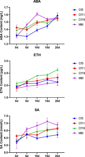 Figure 5. Plant hormone levels 0–20 days after inoculation of tomato plants with C. fulvum. ABA, ETH and SA content in tomato lines: cf-5, Ontrio7516 (carrying the Cf-5 gene); cf-11, HN42 (carrying the Cf-11 gene); cf-19, HN19 (carrying the Cf-19 gene); and MM, Moneymaker (not carrying a Cf gene).