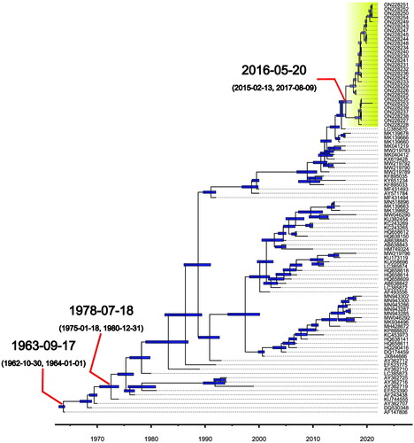 Figure 3. Time-resolved maximum clade credibility tree (MCC) of non-redundant retrieved meq sequences plus Brazilian MDV sequenced strains. Most relevant dates and 95HPDS (tMRCA) are indicated with red lines. Blue bars indicate the 95HPD for each node time. Brazilian MDV strains are shaded in yellow.