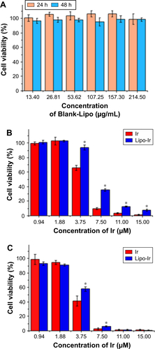 Figure S4 Evaluation of cell viability (MTT).Notes: (A) Viability of A549 cells incubated with various concentrations of Blank-Lipo for 24 and 48 h. Viability of A549 cells incubated with various concentrations of Ir or Lipo-Ir for 24 h (B) or 48 h (C). Results are presented as the mean ± SD of triplicates. *P<0.05 compared with Ir.Abbreviations: Blank-Lipo, blank PEGylated liposomes; Ir, iridium; Lipo-Ir, Ir-loaded PEGylated liposomes; MTT, 3-(4,5-dimethylthiazole)-2,5-diphenltetraazolium bromide; PEG, polyethylene glycol.