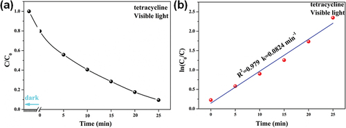 Figure 5. The photodegradation reaction of TC using Nb2O5/PVP and the associated reaction kinetics.