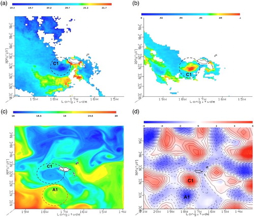 Figure 6. Cyclonic eddy episode April–June 2014. Best concurrent independent observations (a) MODIS SST (°C); (b) Chlorophyll-a concentration (mg/m3); (c) ROMS-SST (°C); (d) relative vorticity calculated from altimetry data (X10−5 s−1). Same cyclonic (C1) and anticyclonic (A1) mesoscale eddies are observed in (c) and (d).