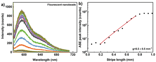 Figure 10. (Colour online) (a) ASE emission spectra from dyed silica nanoparticle film. The excitation wavelength is 570 nm, 300 fs pulses with energy of 88.2 nJ per pulse, peak power density of 0.208 GW/cm2 and the ASE light is collected from 50.000 pulses at a repetition rate of 50 kHz. Different colour spectrum corresponds to different stripe lengths. (b) Optical gain parameter extraction from the exponential ASE peak intensity as a function of stripe length. The solid line corresponds to the small signal gain model fit in the log-lin scale and thus presents an exponential increase with increasing length. The scattered data points are ASE peak intensity measured at wavelength of 590 nm. Extracted optical gain parameter is 8.5 ± 0. 5 mm−1.