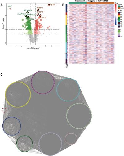 Figure 1 PPI network formed by differentially expressed genes in the skeletal muscle of diabetic patients. (A) Volcanic map of differentially expressed genes in the skeletal muscle of diabetic patients. (B) Heatmap of differentially expressed genes in the skeletal muscle of diabetic patients. Red node represents an upregulated gene, while green represents a downregulated gene. (C) Nine subnetworks of PPI network for differentially expressed genes.