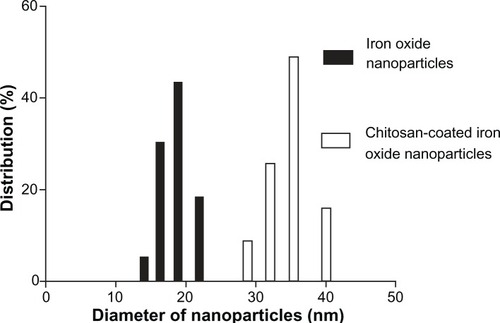 Figure 3 Particle size distribution of iron oxide nanoparticles and chitosan-coated iron oxide nanoparticles by dynamic light scattering.