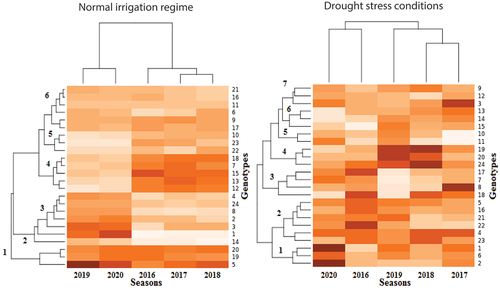 Figure 1. Dendrogram of classified genotypes in growing seasons by cluster analysis during normal irrigation regime and drought stress conditions. The color of each block deepens with the increase of the corresponding cotton seed yield, then the color depth decreases, and the color scale ranges from mild for the moderate yield to white for the lowest yield. The genotypes key names can be found in Table S1. Seasons of 2016, 2017, 2018, 2019, and 2020 represent the five tested environments.