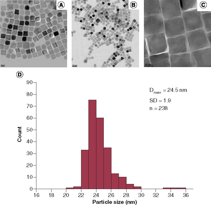 Figure 1. Transmission electron microscope images (A–C) at different magnifications and particle size distribution (D) of the decanoic acid-coated iron oxide nanoparticles synthesized by thermal decomposition method.Scale bars for A, B and C: 20 nm, 50 nm and 10 nm, respectively.Dmean: Mean cube edge length of the nanoparticles; SD: Standard deviation; n: Number of the nanoparticles counted.