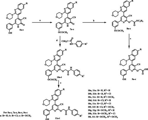 Scheme 2. Synthesis of 2-O-substitutedpyridine – quinoline hybrids. (a) Ac2O, reflux; (b) BrCH2COOC2H5/K2CO3, reflux; (c) NaHCO3 / reflux; (d) K2CO3, reflux; (e) NaHCO3/ reflux.