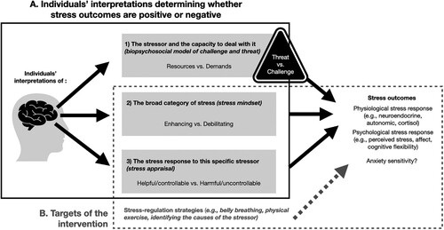 Figure 1. Stress-related factors targeted by the study’s intervention.