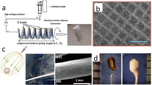 Figure 13. (a) Schematic showing nanofiber deposition across the spring crests and covering the spring all around (adapted from [Citation189]); (b) SEM image showing square topography of electrospun fiber membrane, fabricated on customized electrode and polydimethylsiloxane (PDMS) mold (adapted from [Citation188]); (c) Schematic showing electrospinning of fibers onto a hollow tubular collector and SEM image of nanofiber coverage (adapted from [Citation190]); (d) Photograph showing biosensor before and after electrospun fiber coating (adapted from [Citation187]).