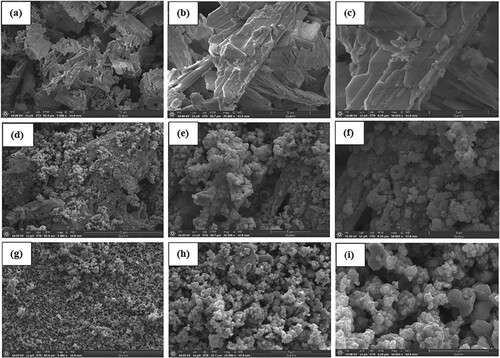 Figure 4. The SEM micrographs at different magnifications of (a−c) Bi2O3, (d−f) MoSe2, and (g−i) Bi2O3/MoSe2.
