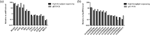 Figure 6. Validation of differentially expressed mRNAs and lncRNAs by RT-qPCR. (a) Transcript levels of mRNAs. (b) Transcript levels of lncRNAs. RT-qPCR experiments were performed in triplicate