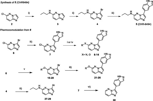 Scheme 1. Reagents and conditions: i) HNRR' (5.0 equiv.), NMP, M.W., 180 °C, 1 h; ii) NBS (1.0 equiv.), ACN, r.t. 1 h; iii) ArB(OH)2 or ArB(Pin)2, Na2CO3, Pd(PPh3)4 (0.1 equiv.), Dioxane/H2O (9/1), M.W., 150 °C, 1h30. iv) ROH, NaH, NMP, M.W., 180 °C, 1 h; v) ROH, NaH, THF, r.t., 1–5 h; vi) HCO2H, Et3N, Pd(OAc)2 (0.1 equiv.), Xantphos (0.2 equiv.), THF, M.W., 150 °C, 15 min.