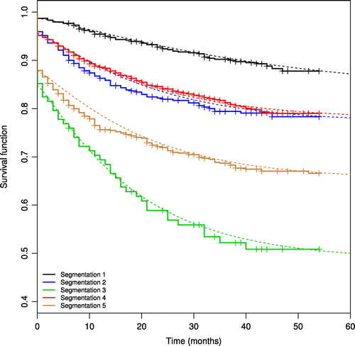 Figure 6. Brazilian bank loan portfolio. Kaplan–Meier survival curves stratified through the covariate selection given by the final promotion cure rate regression model presented in the Table 3.