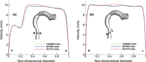 FIG. 5. Velocity profiles taken along the minimum cross-sectional area plane (Glottis) for a flow rate of 30 l/min. (a) Velocity profile along the posterior–anterior line, P-A. (b) Velocity profile along the right–left line (R-L).