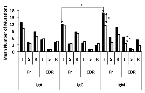Figure 2 Distribution of somatic mutations in B cells isolated from the cervix (dark bars) and peripheral blood (light bars). Shown is the mean number of total (T), silent (S) and replacement (R) nucleotide mutations for each isotype. IgG1, IgG2 and IgG3 VH populations were pooled forming one IgG population. (*) is indicative of a signficicant difference (p ≤ 0.05) between the mean number of mutations indicated.