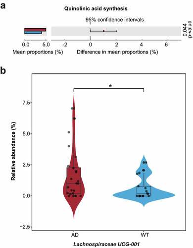 Figure 6. Differentially enriched neuroactive functions and corresponding hub bacteria in three-month-old Alzheimer’s disease mice. (a) Differentially enriched gut–brain modules (GBMs) in the Alzheimer’s disease (AD) mice at three months of age. The mean proportion of the GBM (left) and 95% confidence intervals in the enriched group (right) are shown. The AD and wild-type (WT) groups are indicated by red and blue, respectively. (b) Comparison of the hub bacteria responsible for the differentially enriched GBMs between the AD and WT mice. The AD and WT mice are indicated by red and blue, respectively. * P < .05.