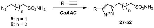 Scheme 3. Synthesis of 1,2,3-triazole derivatives 27–52. CuAAC conditions: Cu(CH3COO)2/sodium ascorbate, MeOH/THF, 40 °C, o.n.