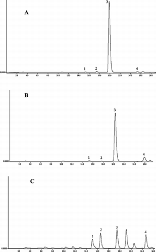 Figure 6 HPLC chromatograms (detected at 254 nm) of flavonoid extracts from Sophora japonica.: (A) flower buds, stage 1; (B) flowers, stage 7; (C) fruits, stage 9 (for flavonoid numbering, see Fig. 2). Stages are as described in the “Plant material” section. See text for chromatographic conditions.