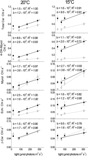 Fig. 4. Ratios of total carotenoids (Total Car), 4-hydroxymyxol glycoside (4-OH-Myxol), myxol glycoside (Myxol), echinenone (Echi) and β-carotene (β-Car) to chlorophyll a (Chl a), given as mean and standard deviation of three German C. raciborskii strains (black boxes) and three German A. gracile strains (open boxes). Cultures were grown at 20°C (left panels) and 15°C (right panels) and four different light intensities. Linear regression was performed without the carotenoid content at the lowest light intensity. The slope b of the regression curve and the coefficient of determination R 2 are displayed in standard font for C. raciborskii and in italics for A. gracile.