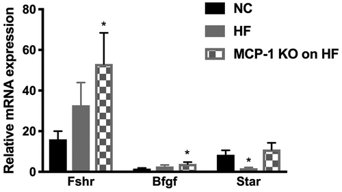 Figure 4. Whole ovary mRNA quantification for genes involved in folliculogenesis and steroidogenesis.