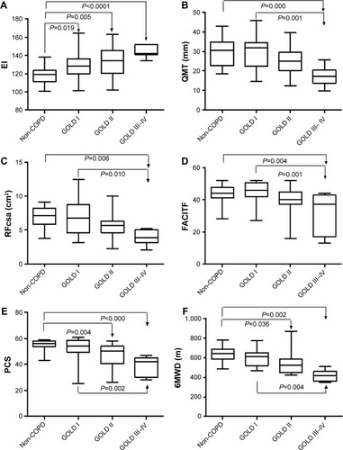 Figure 3 The results of ultrasound measurements of the right quadriceps (A–C), questionnaires (D, E) and 6MWD (F) in the study population.