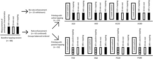 Figure 1. Illustration of the experimental design. The sessions including active tapping as priming (A20, A60, A120, and A180) were counterbalanced. Besides, the sessions including passive tapping as priming (P20, P60, P120, and P180) were counterbalanced. In total, data from 28 and 29 participants in the active and passive group, respectively, were analyzed (for further details see the results section).