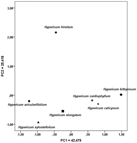 Figure 2. PCA of flower parts of different Hypericum species.