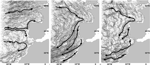 Figure 3. Surface flow in December (left) and July (center). The July subsurface situation (15 m) is shown on the right. Thick lines indicate the schematic main directions of the flow. Thin lines are the Lagrangian representation of current at the atlas resolution.