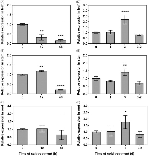 Figure 5. Expression patterns of PtHDT903 under salt (A–C) and cold (D–F) stress in leaves (A and D), stems (B and E) and roots (C and F). Note: Real-time PCR analysis. Data represent mean values with standard deviations (±SD) of three independent experiments. *p < 0.05, **p < 0.01, ***p < 0.001 and ****p < 0.0001, significant difference between the treated and control samples.