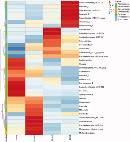 Figure 3. Heat map of the genus-level taxonomic composition. The values on the heat map are z-scores, which are the standardized relative abundances of ruminal genera. The z-score is a dimensionless quantity obtained by subtracting the population mean from an individual raw score and then dividing the difference by the population standard deviation. CON26: control group, sampled at day 26; EW26: weaning group, sampled at day 26; CON49: control group, sampled at day 49; EW49: weaning group, sampled at day 49.