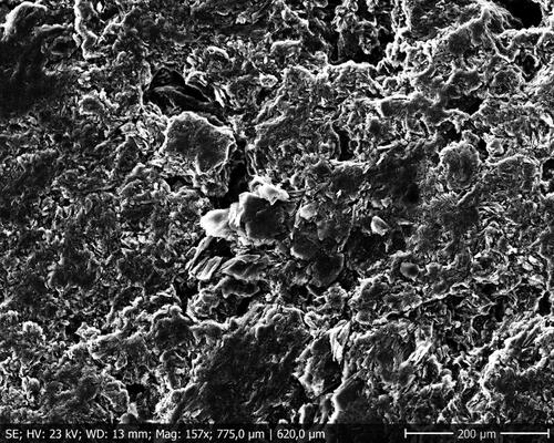 Figure A1. SEM picture of the graphite surface before the measurement of the contact angle of the working fluid.