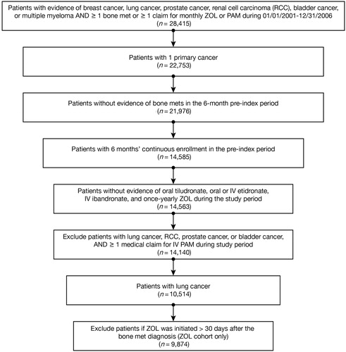 Figure 1.  Patient disposition diagram. IV, intravenous; met, metastasis; PAM, pamidronate; ZOL, zoledronic acid.