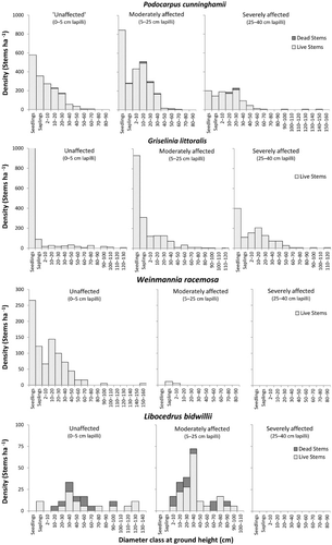 Figure 4 Diameter frequency distributions of key treeline canopy species across three Burrell Lapilli depth categories, Mt Taranaki.