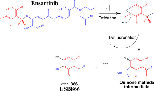 Scheme 8 Supposed pathways of GSH conjugation through oxidative defluorination mechanism generating quinone methide intermediate.