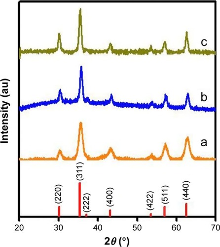 Figure 1 XRD patterns of Fe3O4 NPs: (a) 8 nm, (b) 17 nm, and (c) 24 nm.Abbreviations: NPs, nanoparticles; XRD, X-ray powder diffraction.