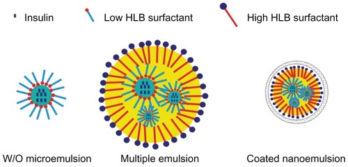 Figure 1 Schematic diagrams of w/o microemulsion, multiple emulsion and coated nanoemulsion respectively.Abbreviations: w/o, water in oil; HLB, hydrophilic lipophilic balance.